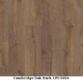 Cambridge Oak Dark
